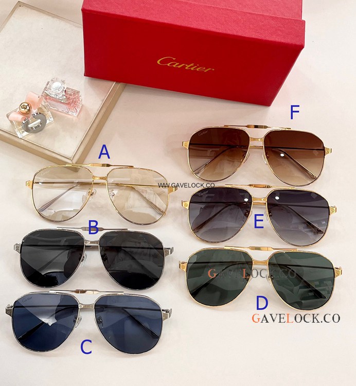 Free Shipping Copy Cartier Santos Toad Sunglasses ct0352s